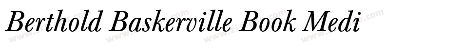 Berthold Baskerville Book Medium Italic字体转换